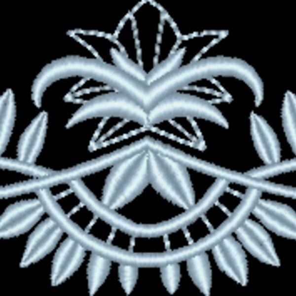 NZ808 Thumbnail